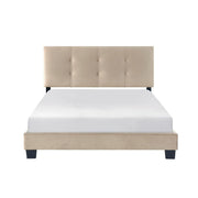 Newberry Full & Twin Bed image