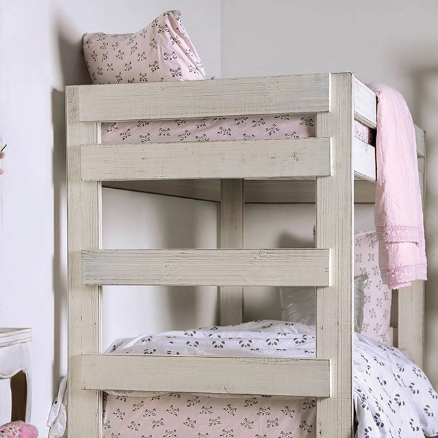 Arlette Twin/Twin Bunk Bed